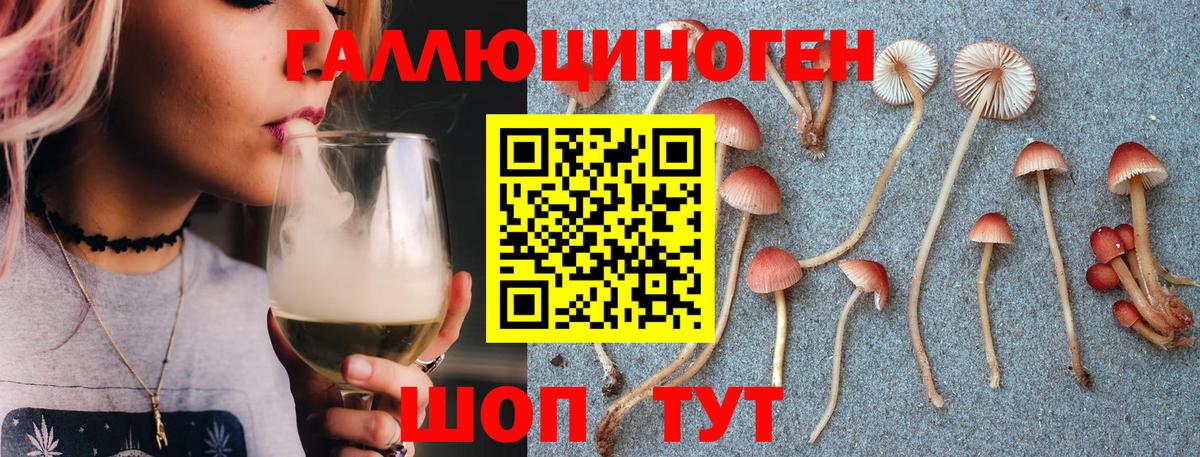 Галлюциногенные грибы Psilocybine cubensis Уварово