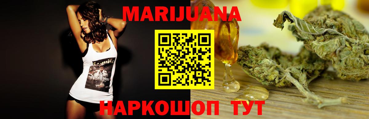 Каннабис планчик  Каннабис тримм  Шишки марихуана план  Уварово  Вход с VPN 
